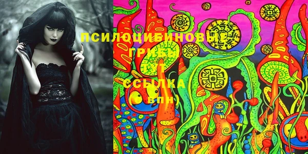 ECSTASY Коряжма