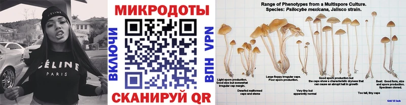 Купить где  Вытегра  Галлюциногенные грибы Psilocybine cubensis 